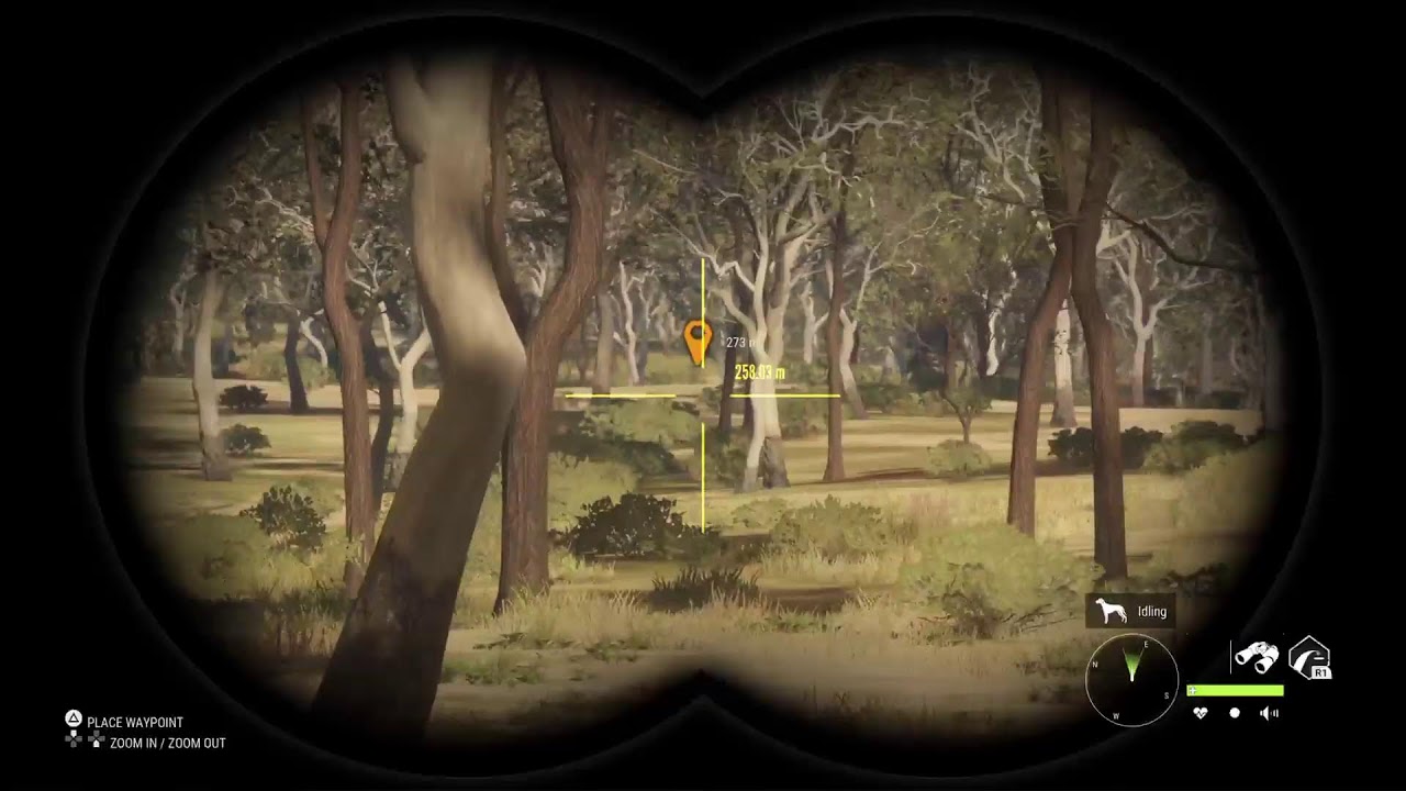 Thehunter: Call of the Wild livestream