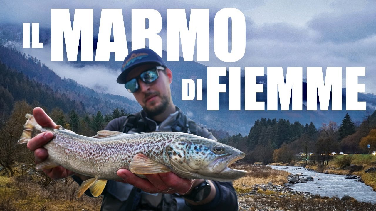 IL MARMO DI FIEMME EP.1 : PESCA a SPINNING alla TROTA MARMORATA in TRENTINO