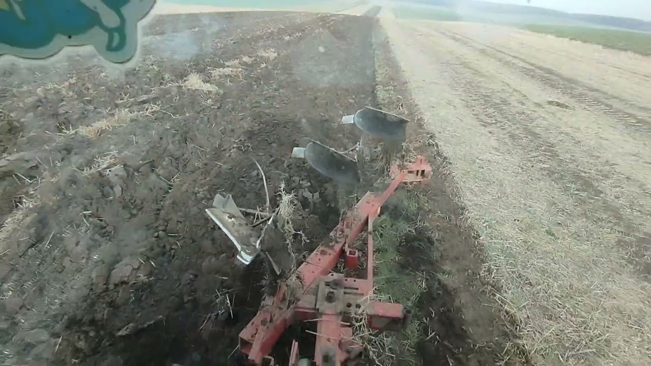 John deere 3140 și plug ih ,,aram pentru Floarea Soarelui