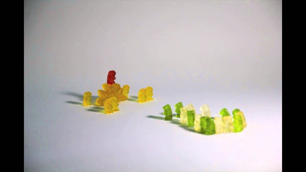 The Revolution of The Gummy Bears Stop Motion