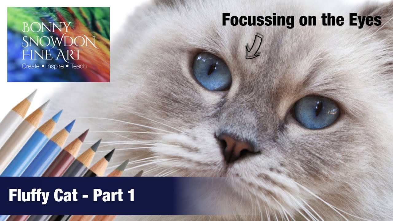 Drawing a Fluffy Cat with Coloured Pencils | Part 1 | Focus on the Eyes