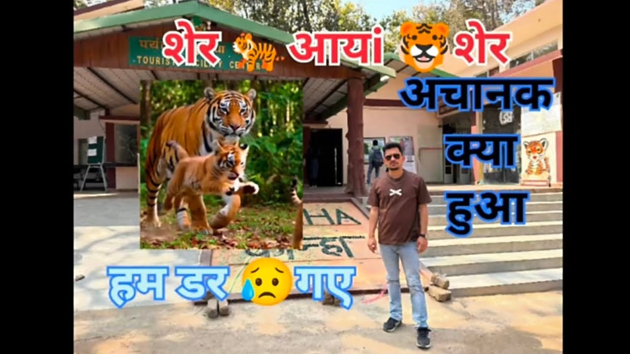 Kanha Tiger 🐅 Reserve park 🏞️🌄 world 🌎 ka famous park 🏞️ jangle sfari 