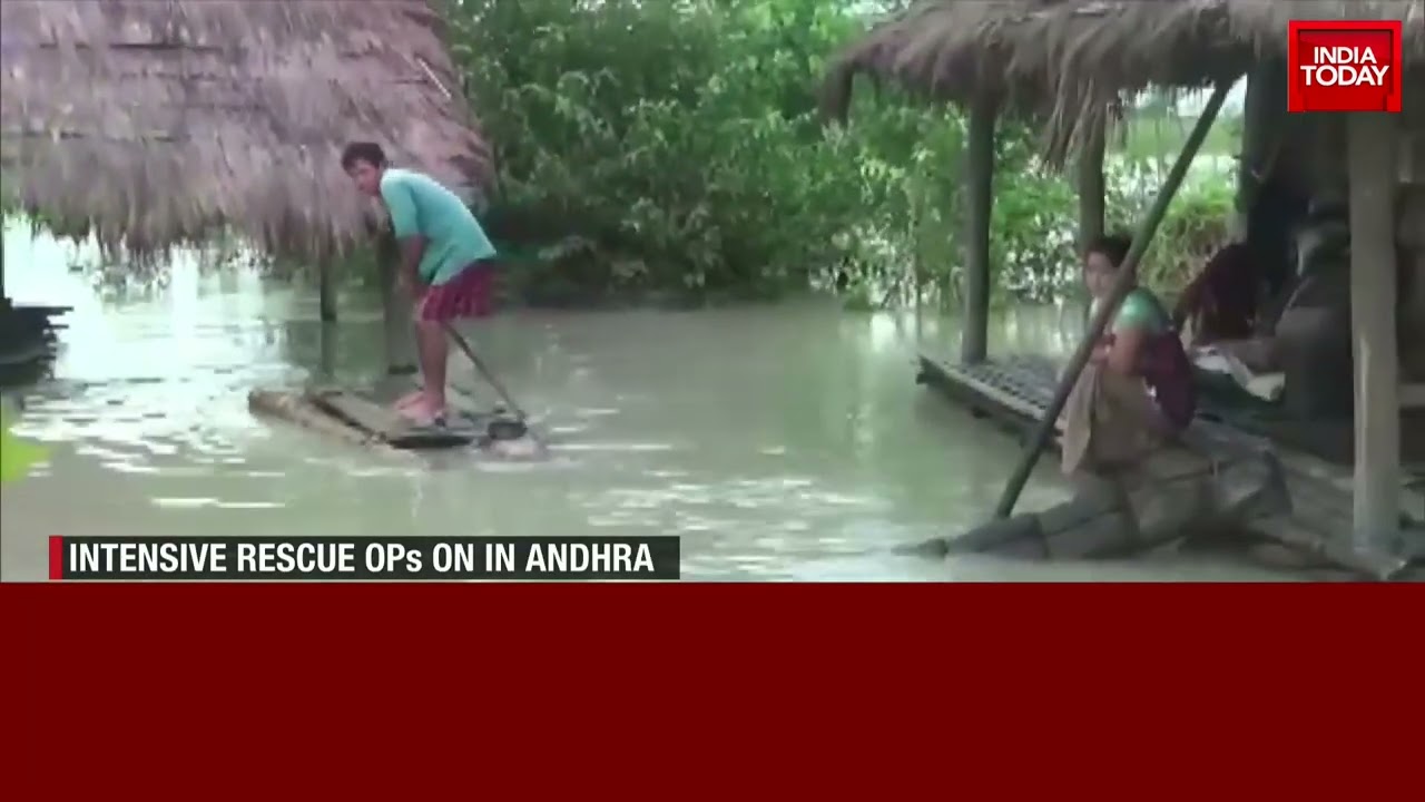 Incessant Rains Wreak Havoc Across India, Sarayu River Swells In Ayodhya
