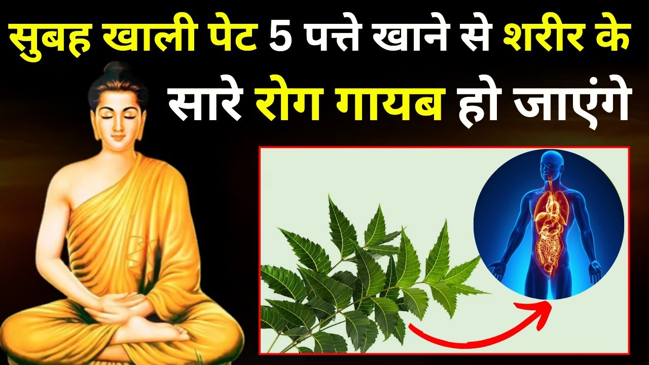 सुबह खाली पेट सिर्फ 5 पत्ते खाओ बुढ़ापे तक शरीर मजबूत निरोगी बना रहेगा| Buddha Health Tips