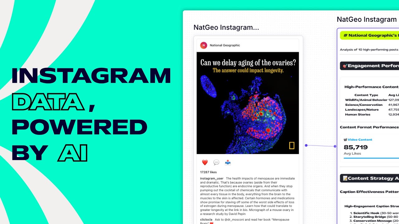 Automate Social Media Research with the Instagram Scraper