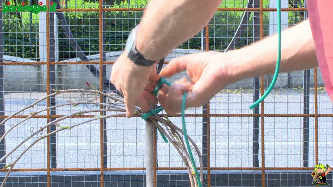 Materiali e strutture giardino verticale