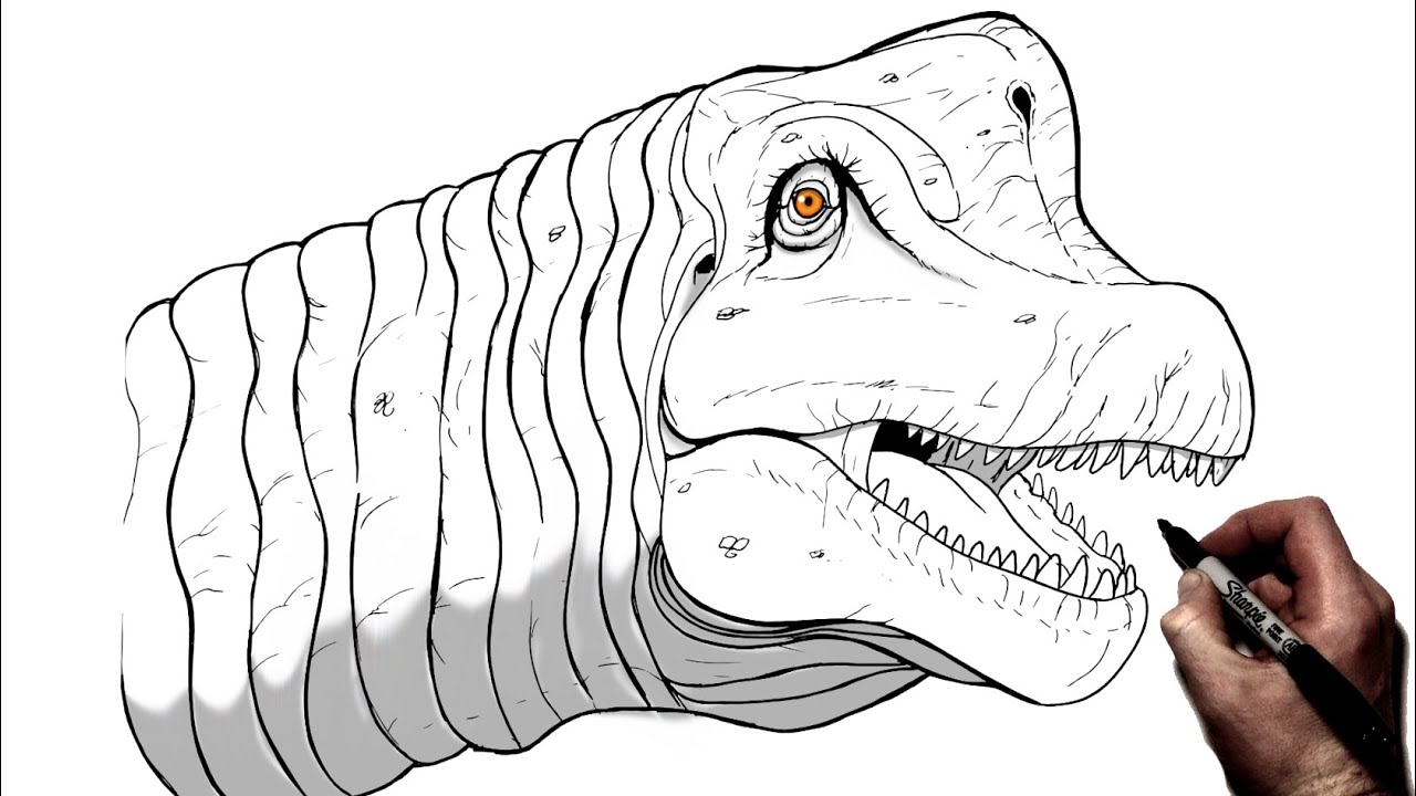 How To Draw A Brachiosaurus (Head) | Step By Step