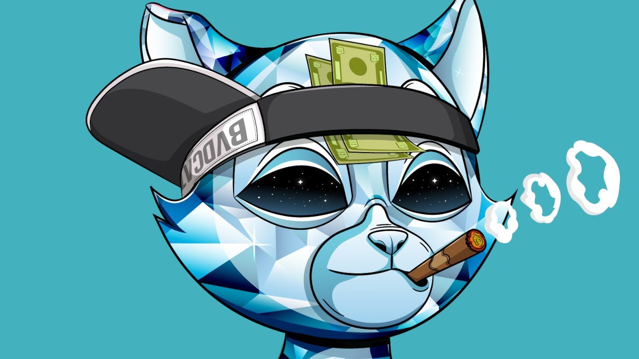 BVDCAT on Solana - Degods Partnership - BVD Capital & Iced Dao - Community Building & More