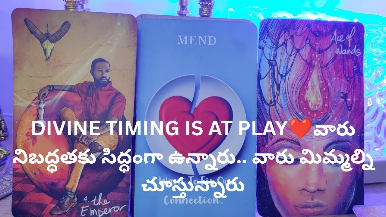 DIVINE TIMING IS AT PLAY❤️వారు నిబద్ధతకు సిద్ధంగా ఉన్నారు.. tarot reading 9948424222