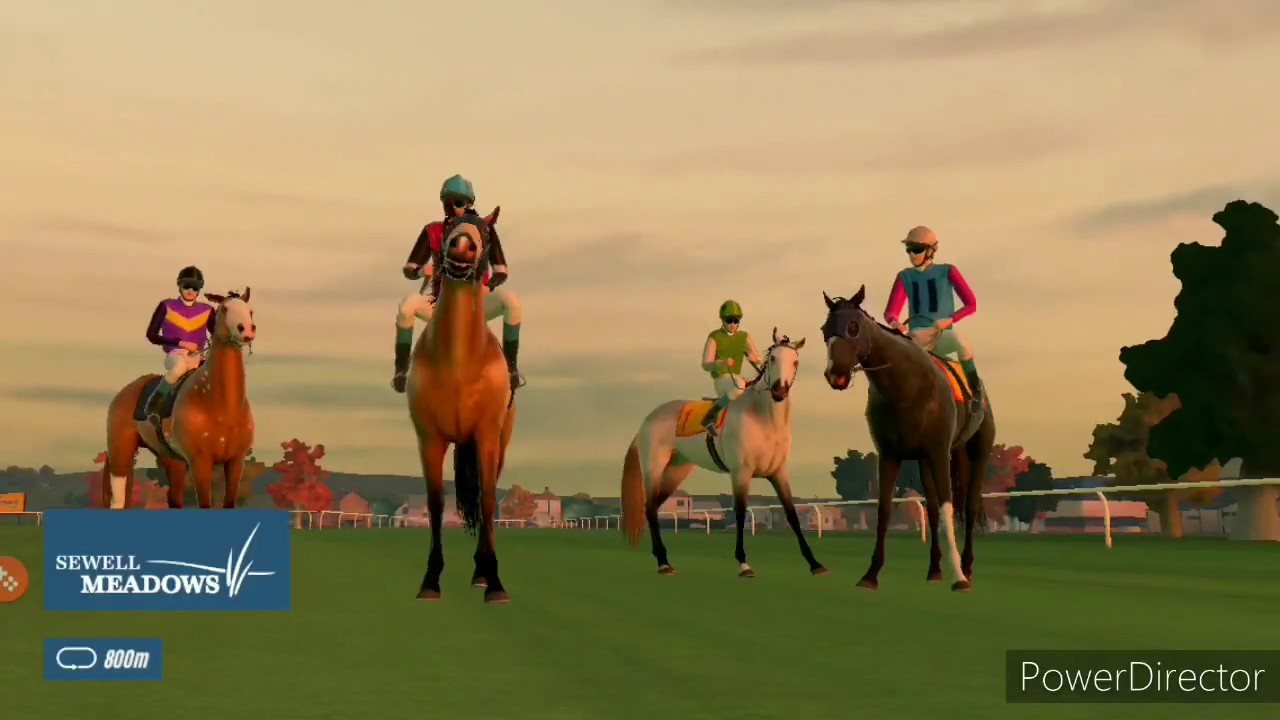 Pferde Update🐎Rival Stars #3 ||animal#love||