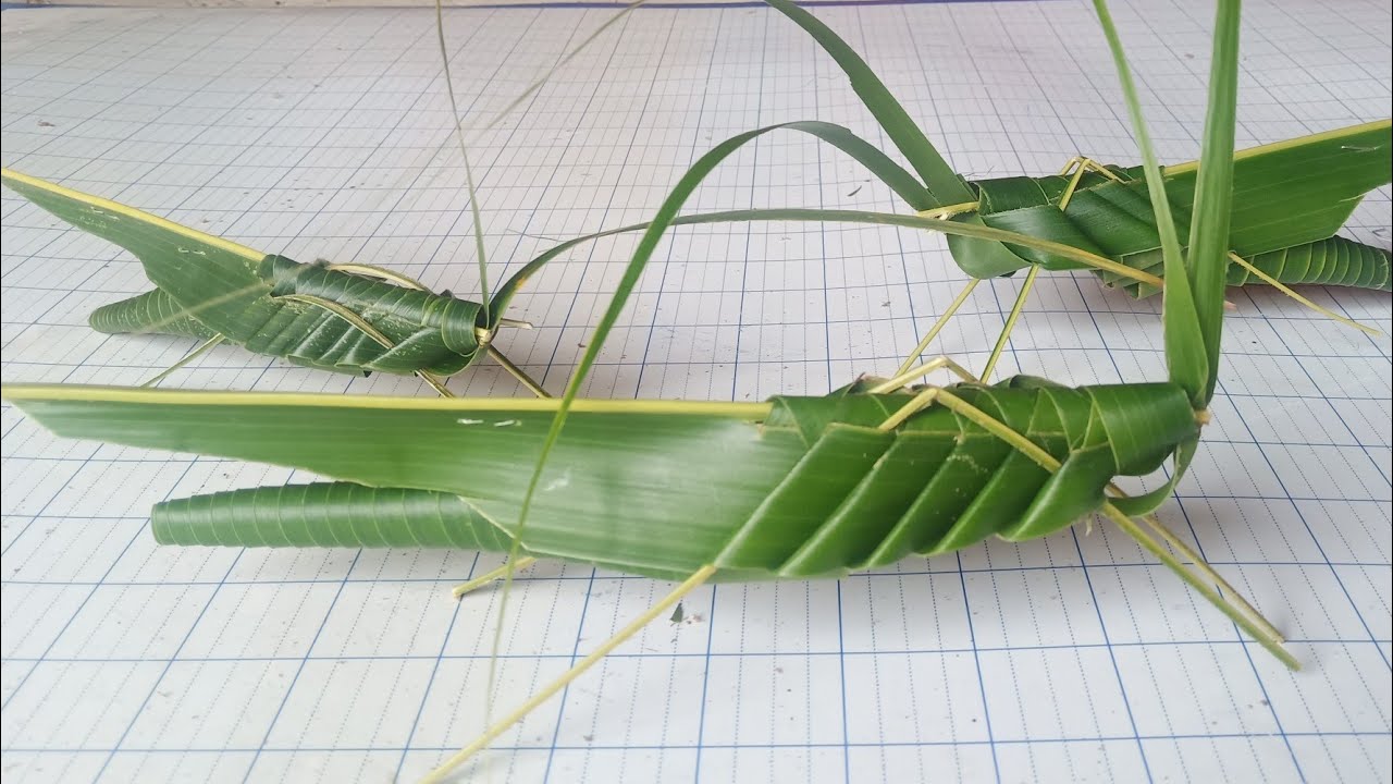 Cách làm con cào cào bằng lá dừa đơn giản đẹp (c. 4)