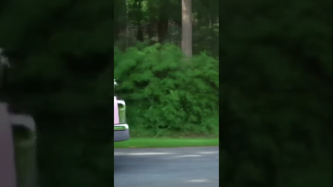 elvis presley cars