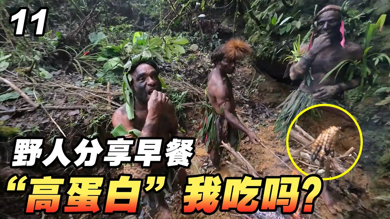 记录巴布亚野人生活，早餐分享我“高蛋白”，我该吃吗？【耀阳环游记】