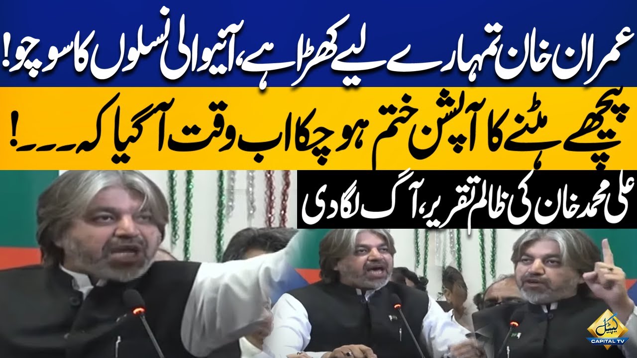 Ali Muhammad Khan Fiery Speech In Favor Of Imran Khan | Capital TV