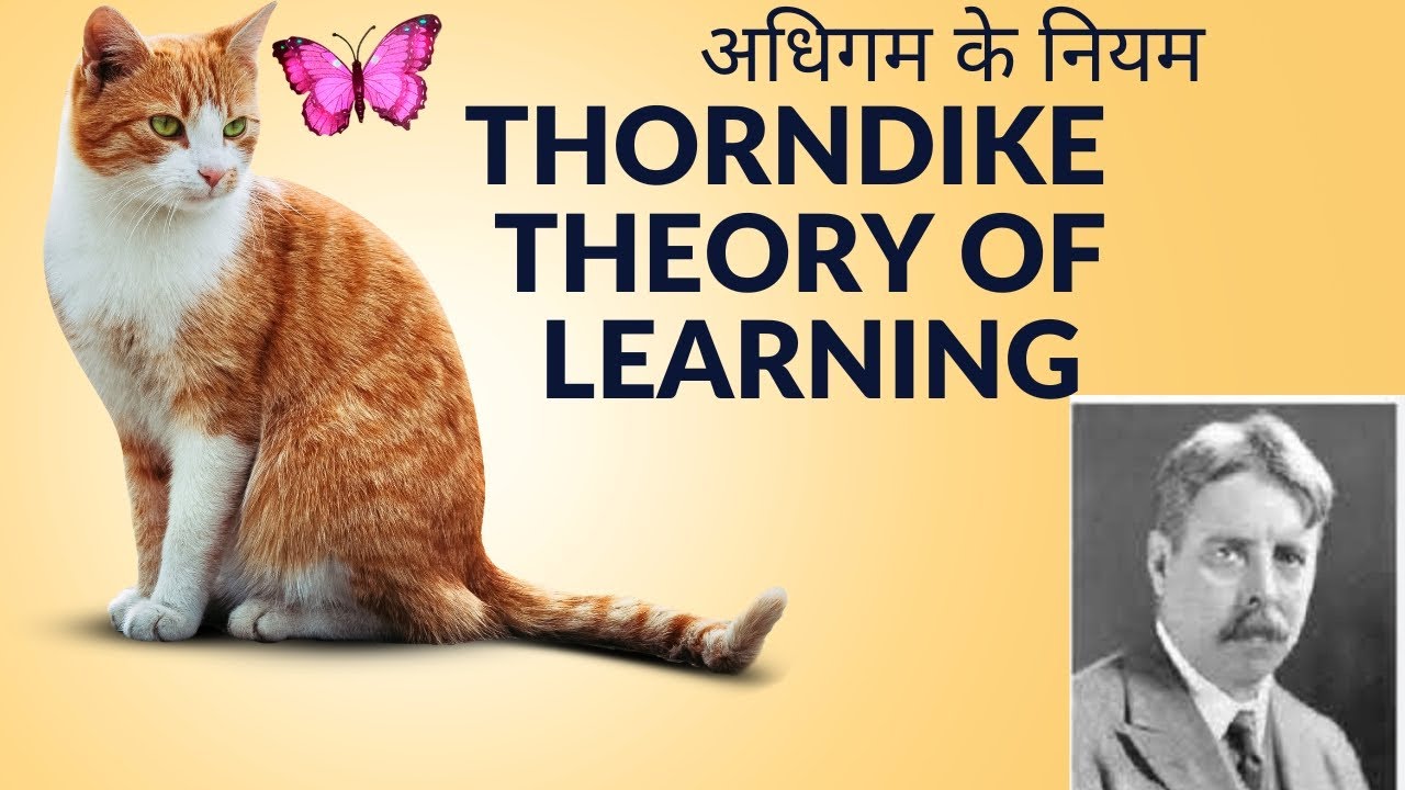 Thorndike theory of learning ll थॉर्नडाइक के अधिगम के नियम ll
#ctet #net #set#utet