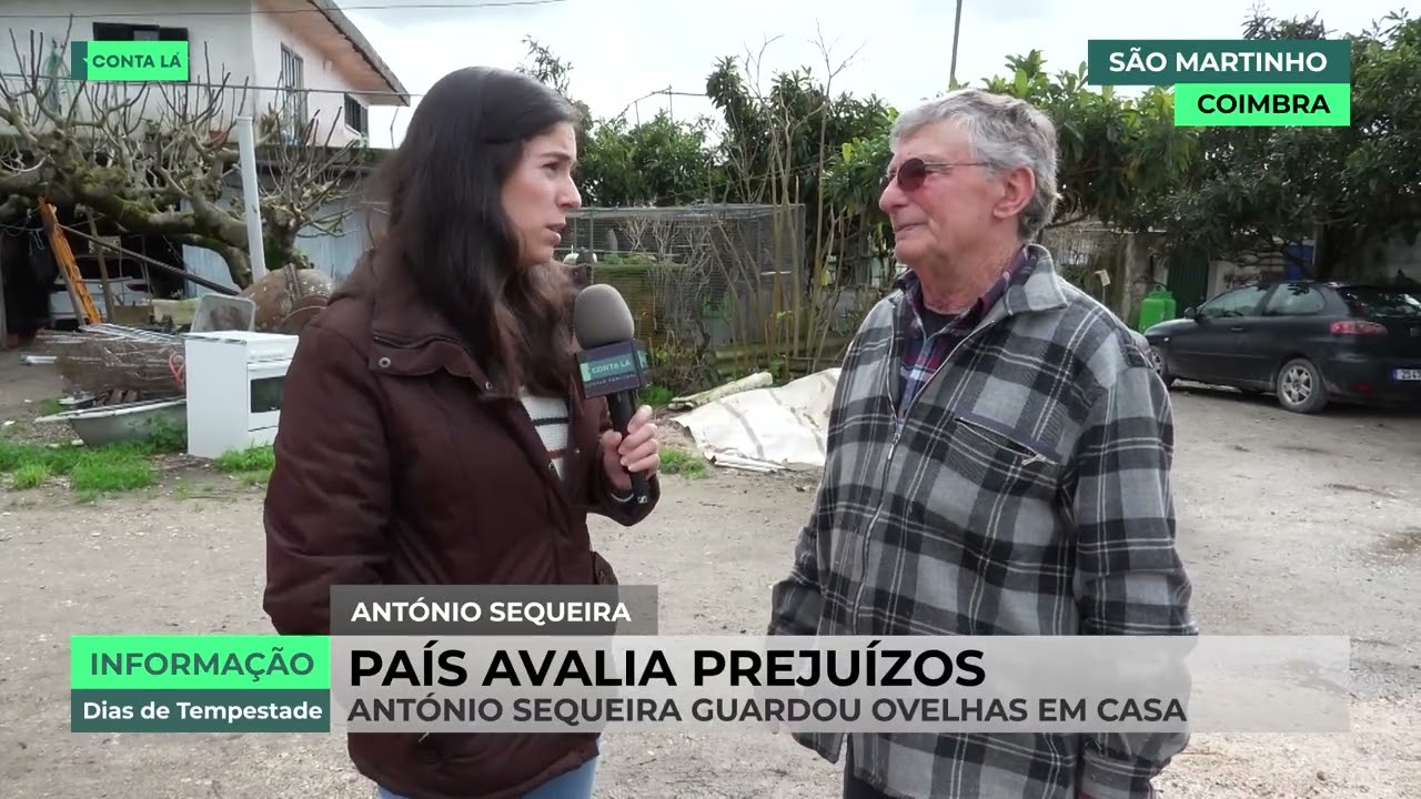 No meio das explorações agrícolas, em Coimbra, há uma casa que ficou isolada durante as cheias