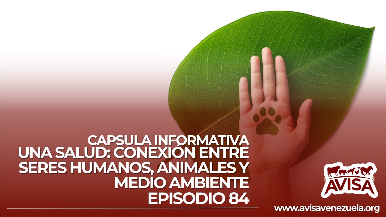 Cápsula Informativa AVISA.Episodio 84 - Una Salud: Conexión entre Seres Humanos, Animales y Ambiente