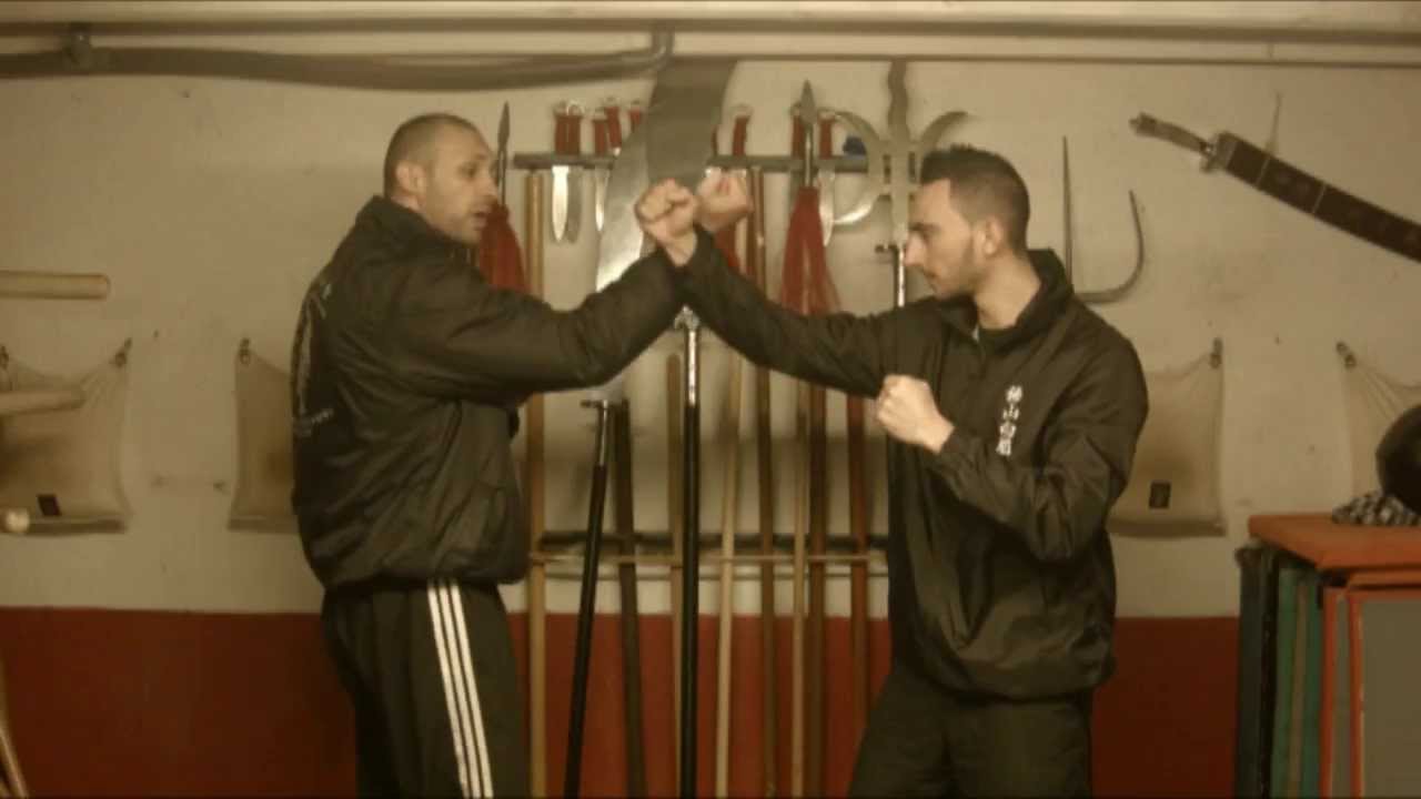 Fat San Pak Mei classic move explanation  #1 佛山 白眉拳