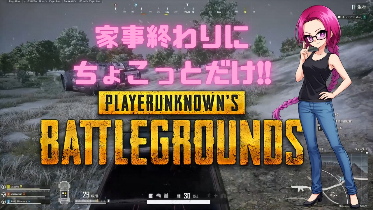 【PUBG】テストも兼ねたいPUBG配信【同時配信】