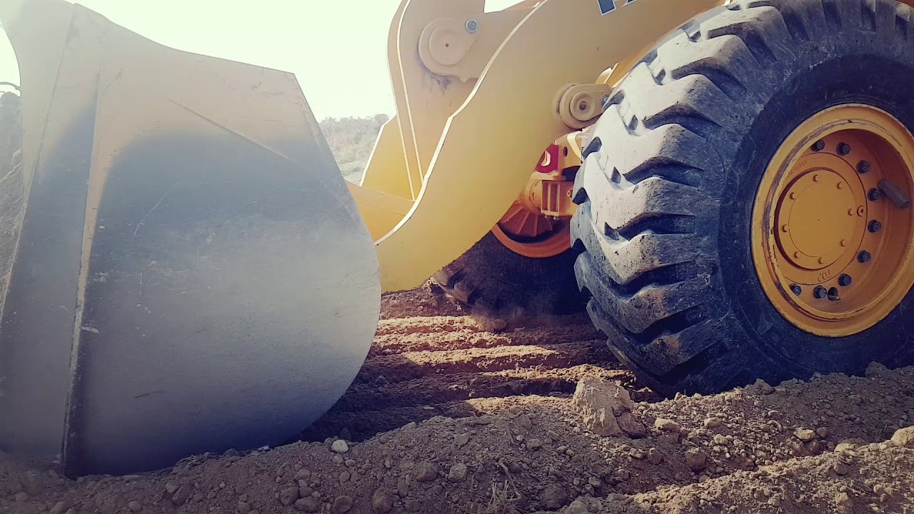 بعض البشر روحي فداهم وبعض البشر شفلي يسواهم