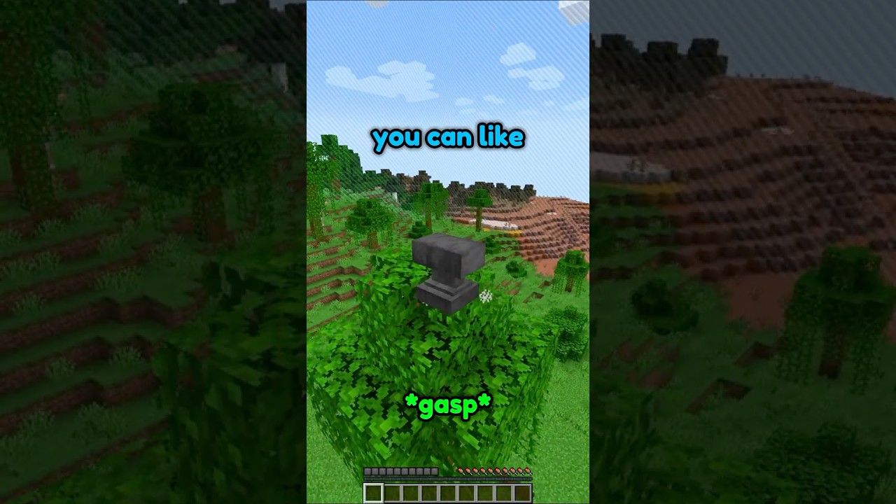 MINECRAFT BLOCK HUNT IS HILARIOUS