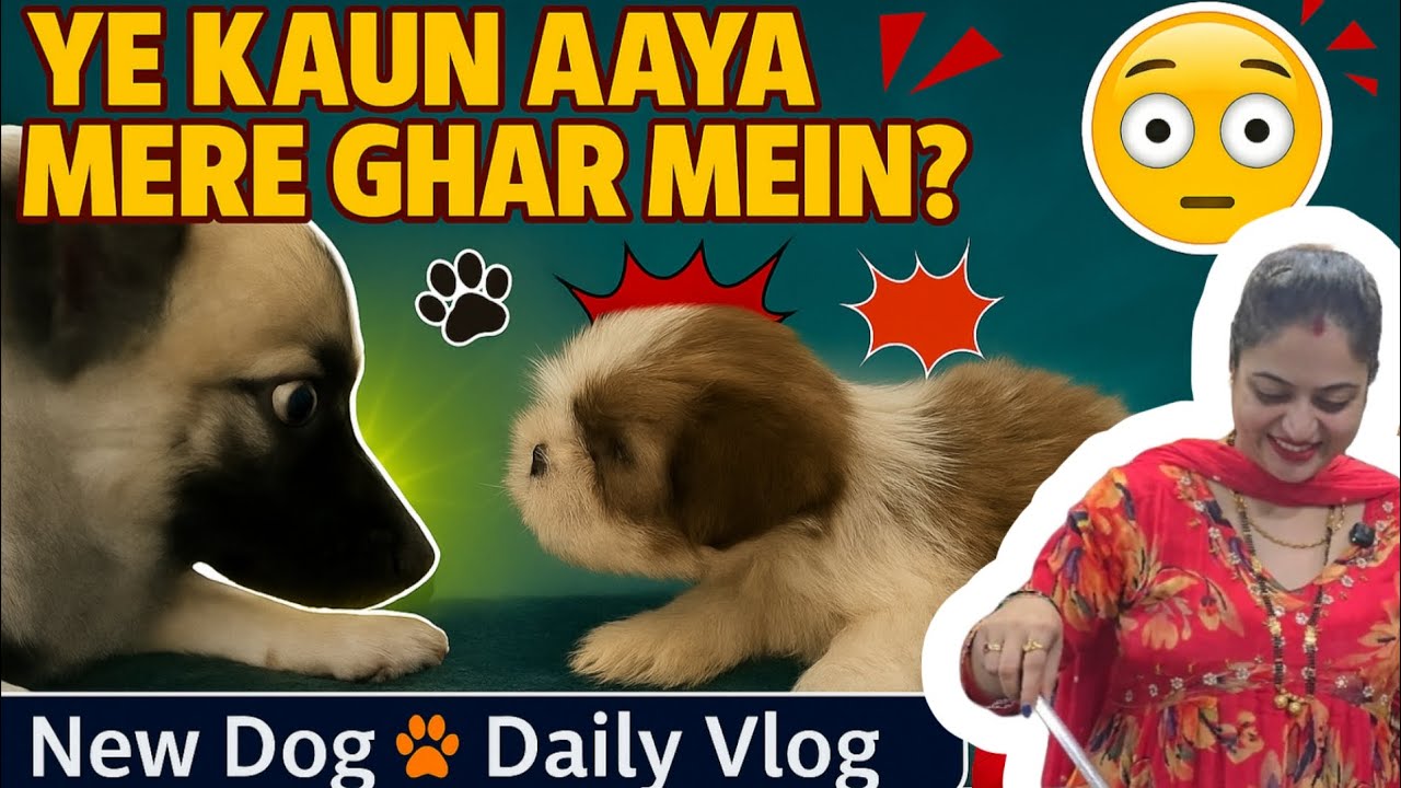 Ye Kaun Aaya Mere Ghar Main(ये कौन आया मेरे घर में)⁉️