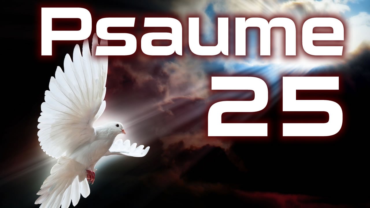 Psaume 25 - Vers toi, Éternel, j'élève mon âme. HD