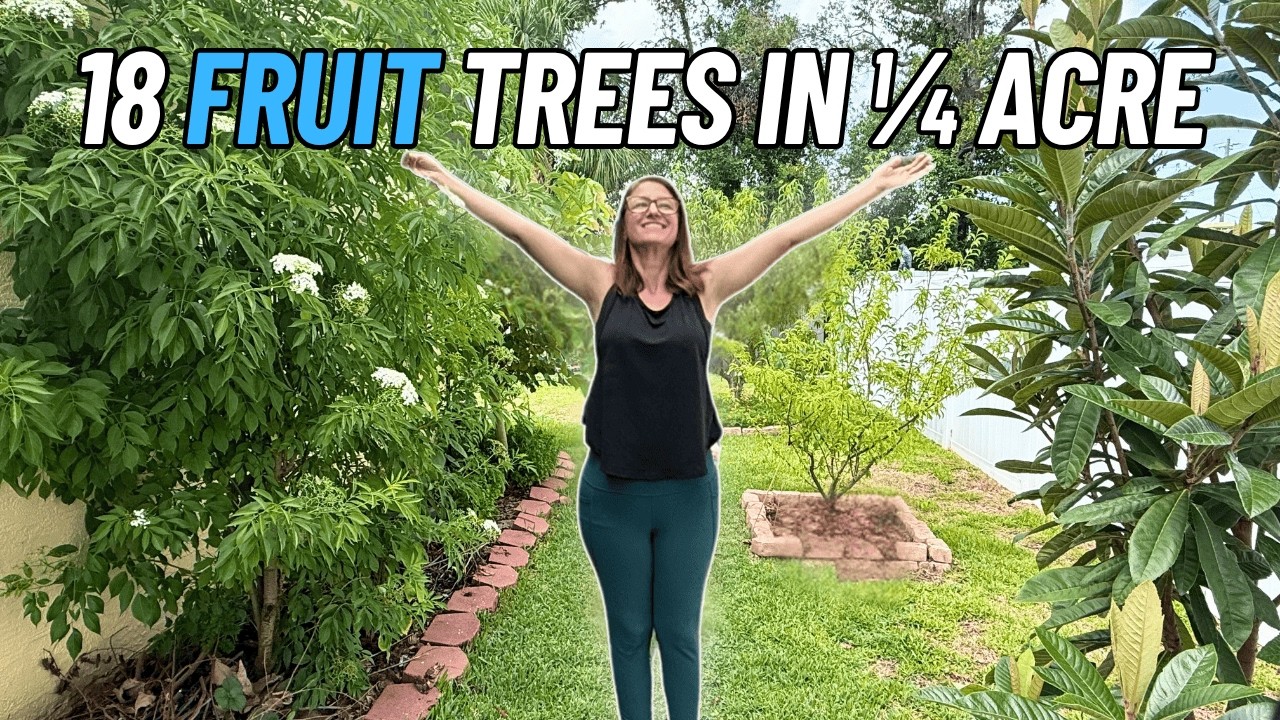 The Best & Worst Fruit Trees for a Small Backyard Garden