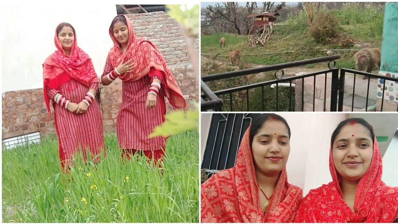 ससुराल में बंदरों का आतंक 😱#twins #village #pahadi