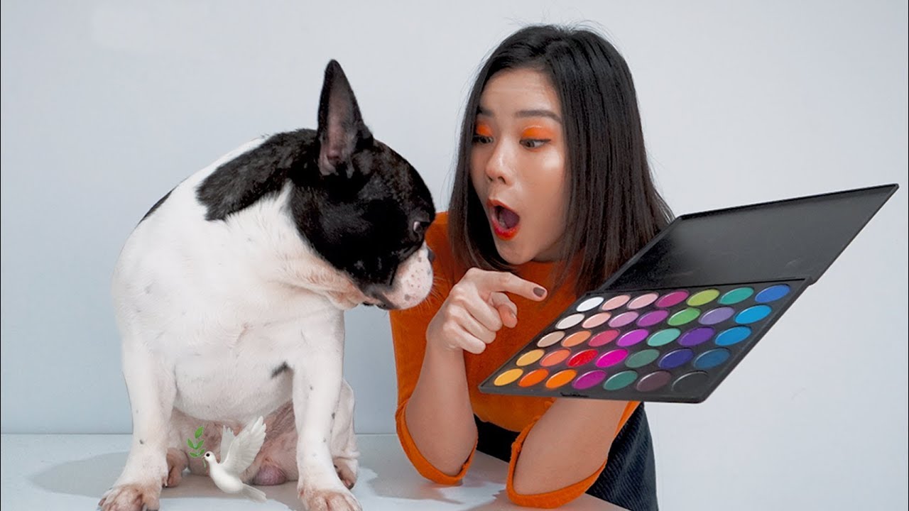 MAKEUP DI PILIHIN ANJING AKU!