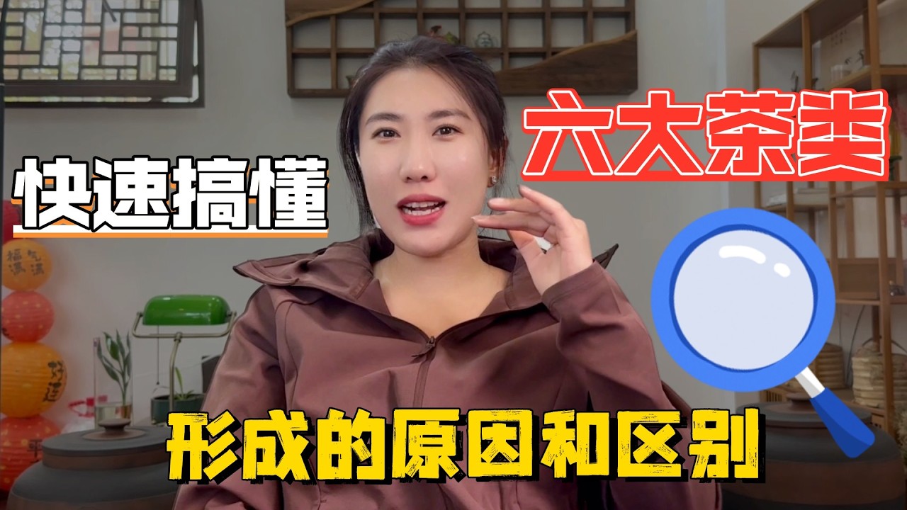 快速搞懂六大茶類形成的原因和區別！#普洱茶 #茶文化 #古树茶 #te #茶葉 #普洱茶wechat #茶 #茶叶 #茶生活 #喝茶 #品茶 #泡茶  #古樹茶