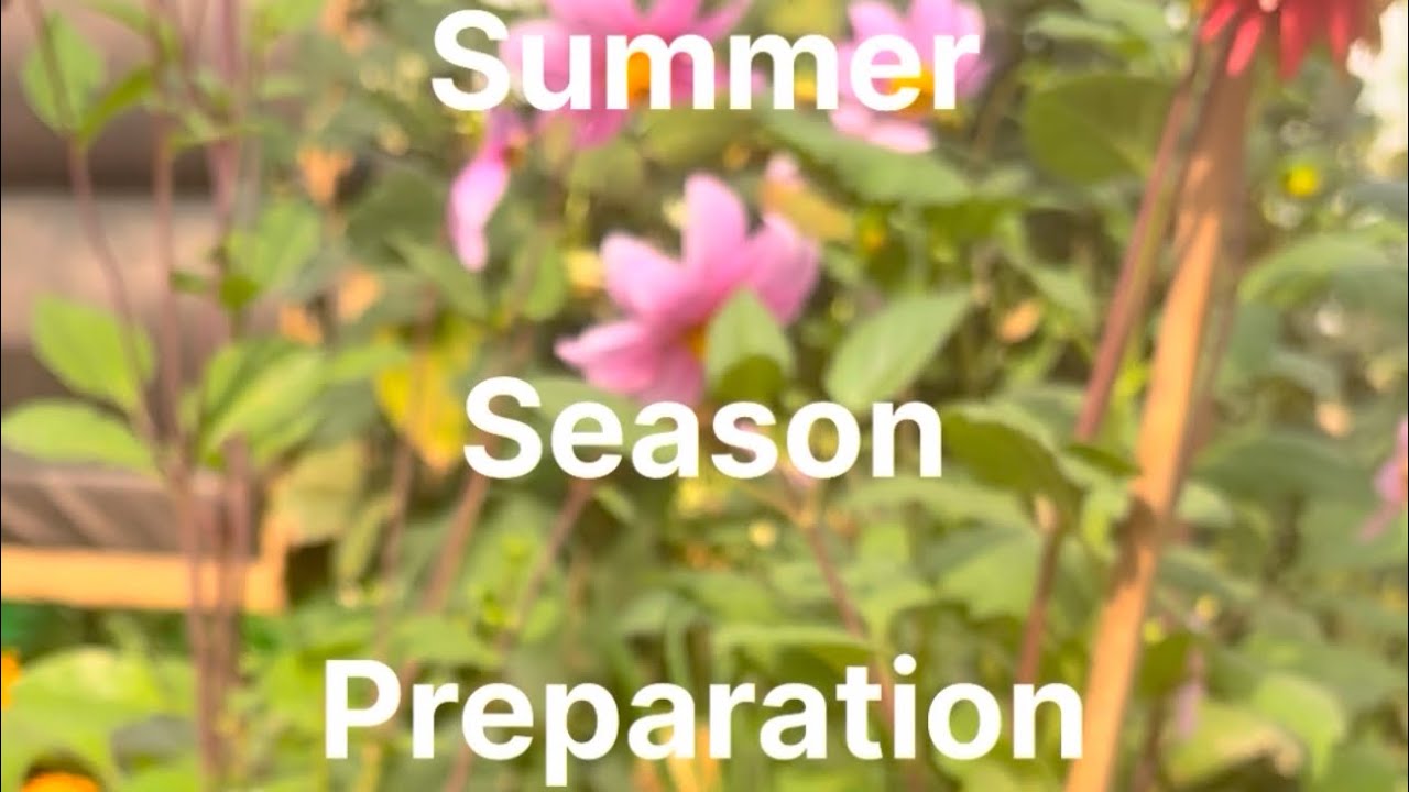 Summer season preparations soil seed  seedlings pruning  seed collection full information video 