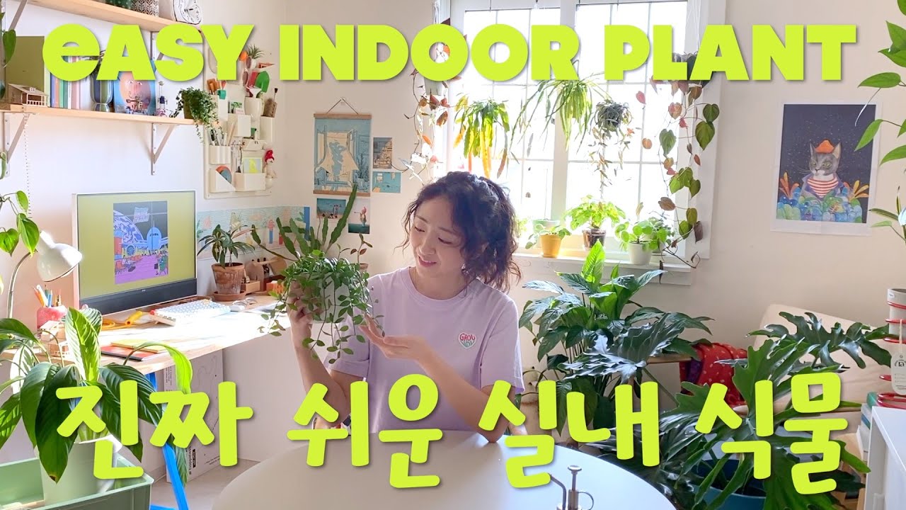 진짜 아니 진짜 키우기 쉬운 실내식물 21가지ㅣ식물관리ㅣ플랜테리어