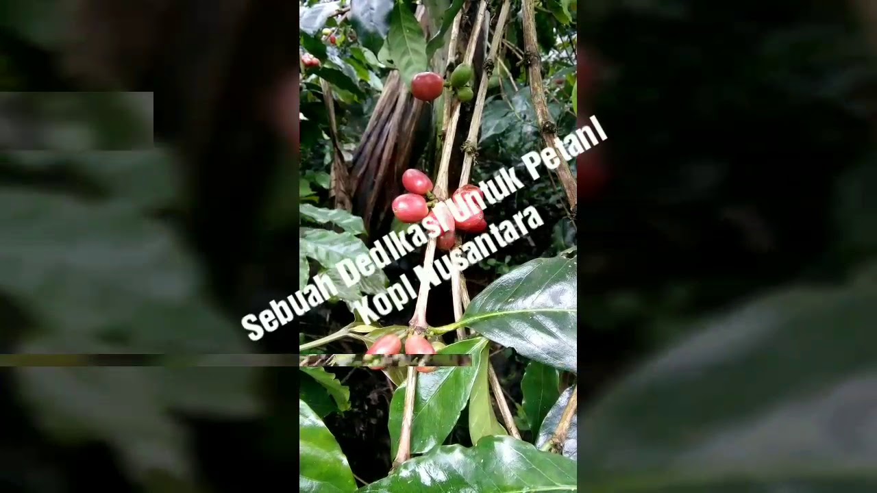 Arti Mimpi Petani