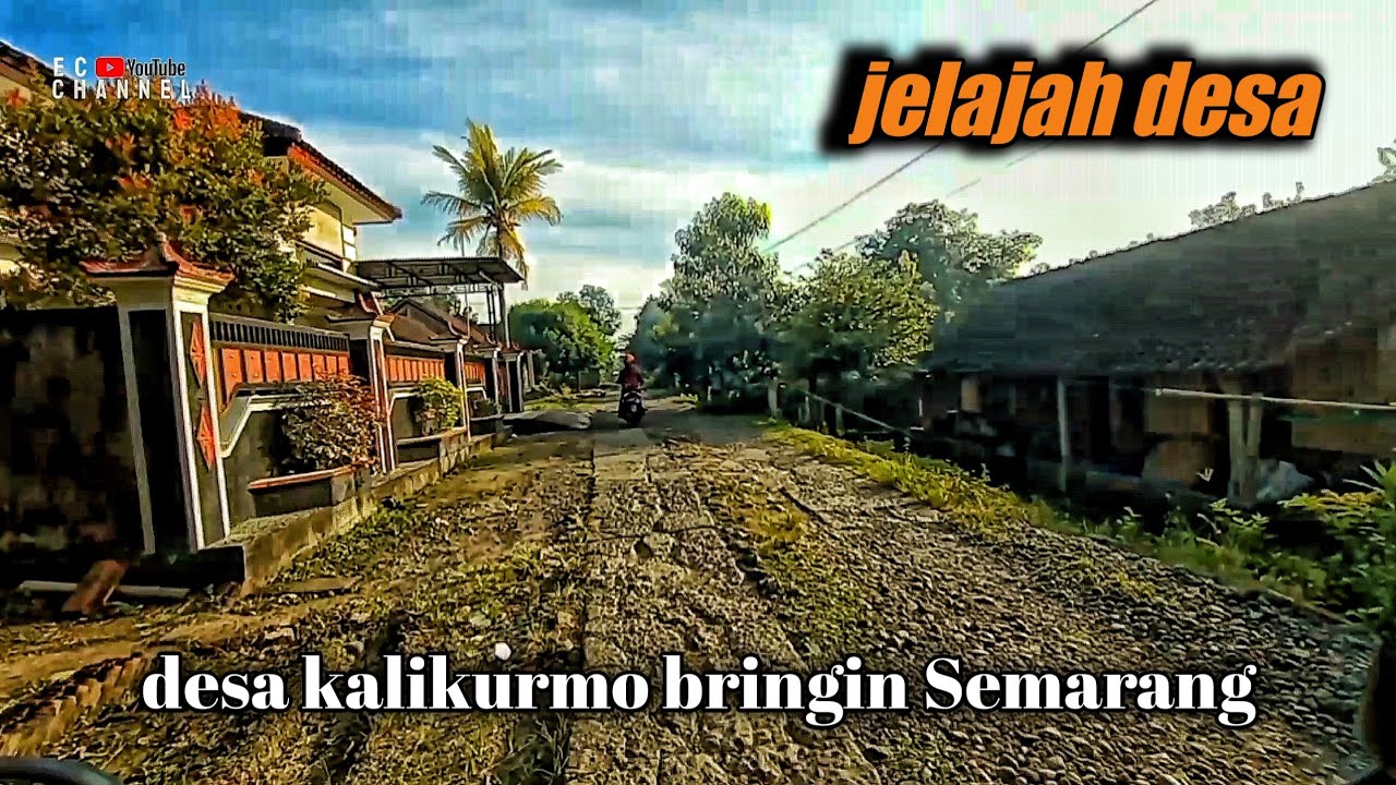 suasana pagi desa kalikurmo