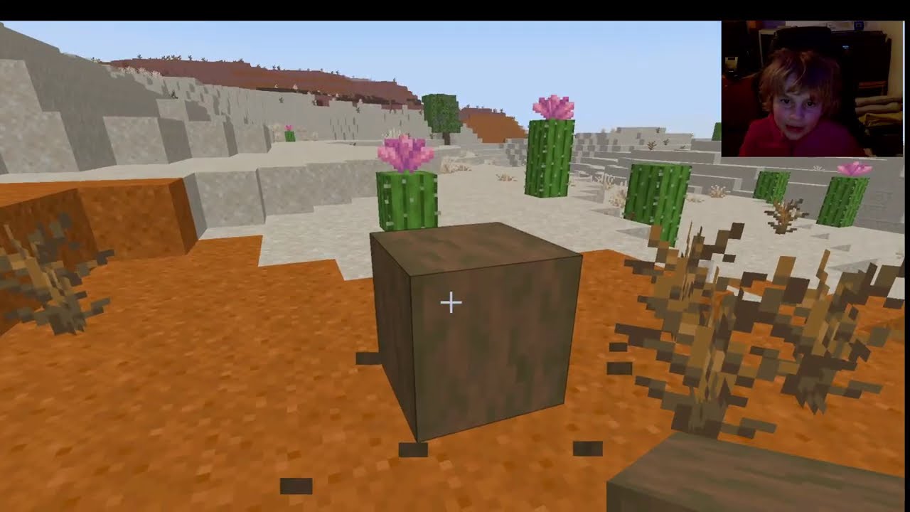 Minecraft s Aničkou