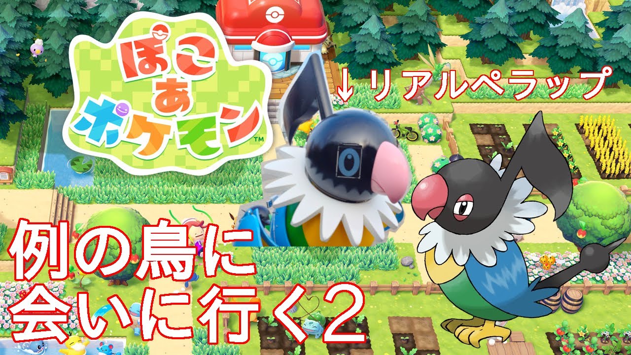ぽこあポケモン　4年ぶりに出てきたこの鳥を探す2