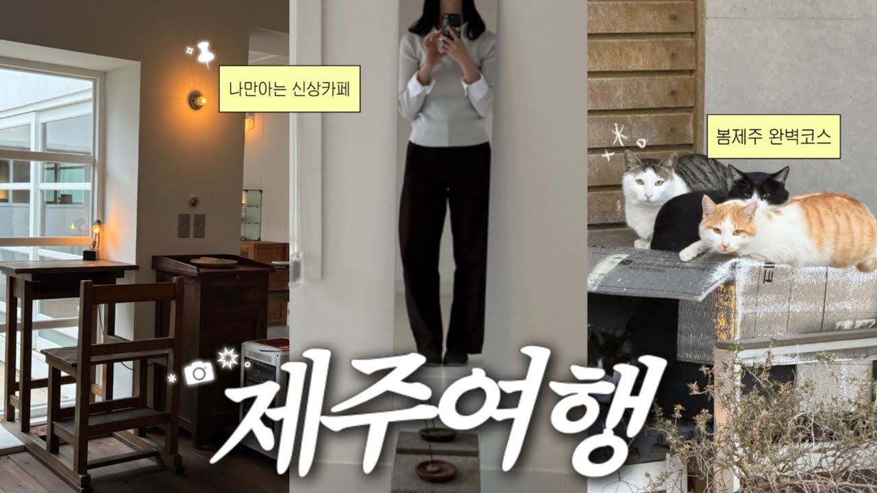 봄제주 털어왔수다 ✴︎˚⋆ 보물같은 신상카페•로컬맛집•숨은명소 싹다공유 (지도좌표🙆🏻‍♀️)