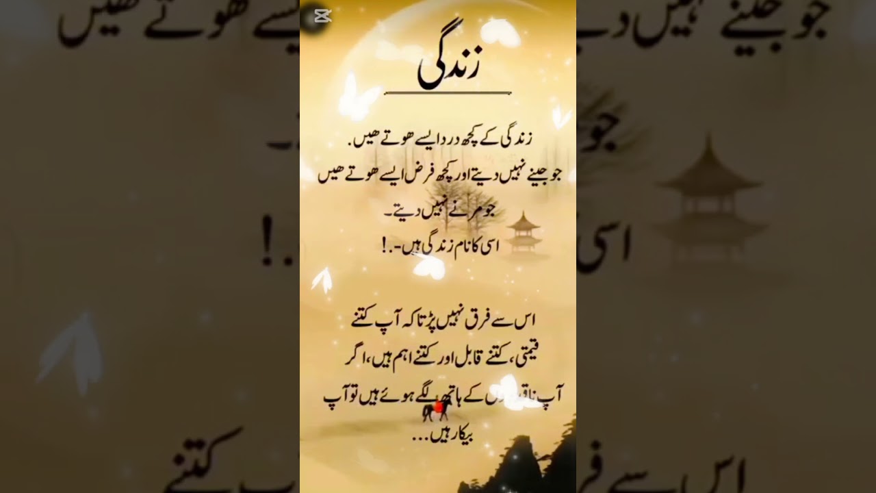 Zindagi 🥲 #quotes #poetry #thestoryofpath #pathtopeace #sad #whenpathsmeet #sadpoetry #thepathless