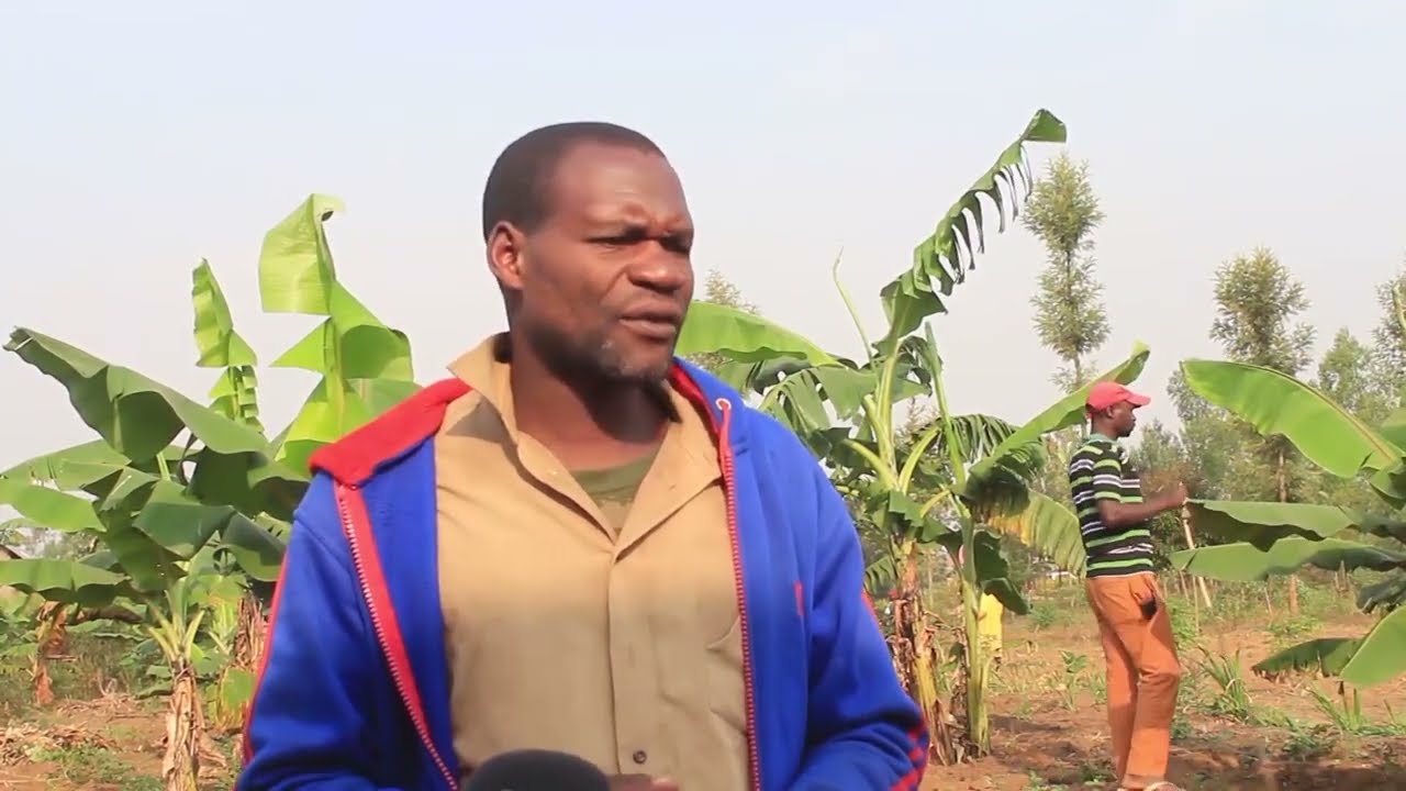 GATSIBO: Igisambo cyasanzwe mu nzira cyapfuye kiri kumwe nibyo cyibye