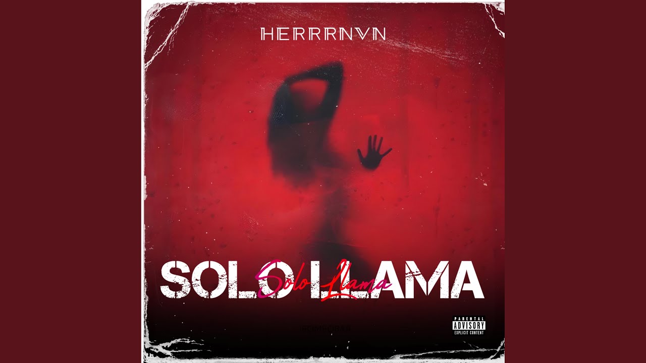 Solo Llama