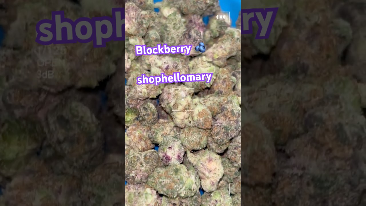 Some Nice Purp from ShopHelloMary 💜  #shorts #shophellomary #thcareview