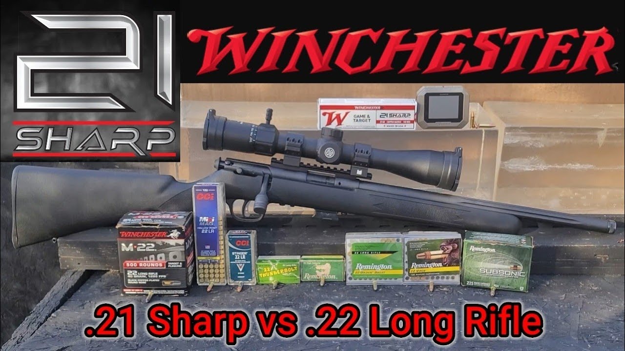 .21 SHARP vs .22 Long Rifle GEL TEST ( VERY Surprising Results! )