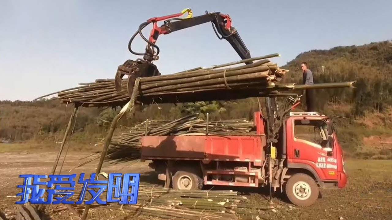 新型抓竹机“势如破竹”！机械臂搭档机械爪让竹子轻松上车 |「我爱发明」20220419