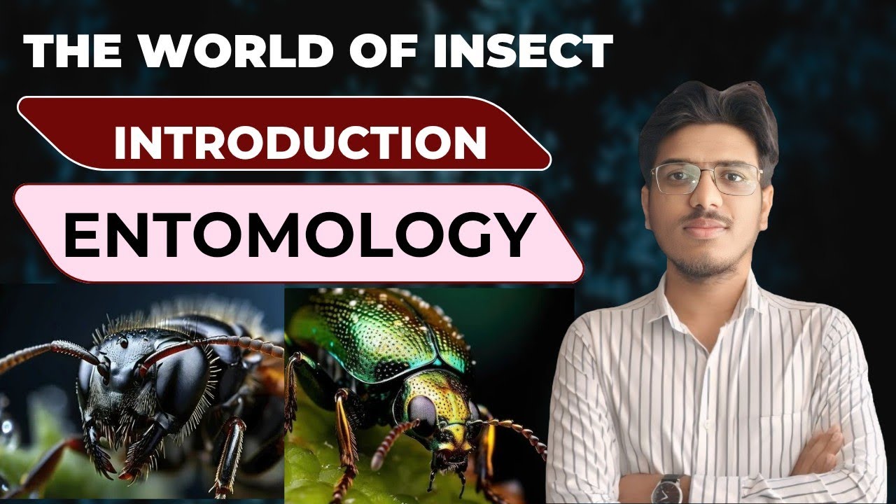 What Is Entomology?The basic introduction of Entomology ,M.sc,B.sc,Agri student.