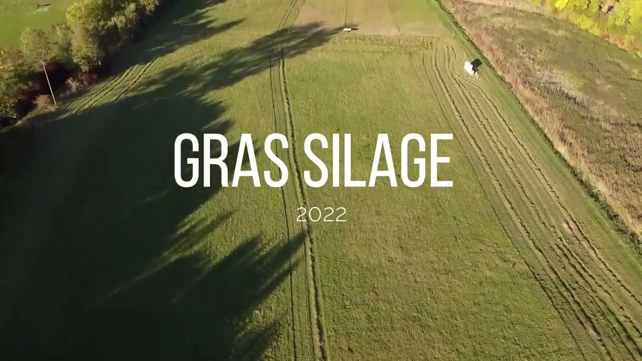 Gras Silage 2022 |  IHC 844XL, 956XL, 633 u. 554