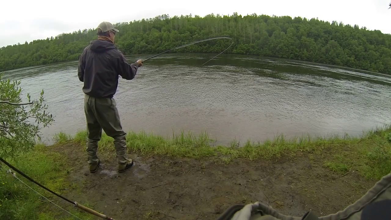 Dryfly Salmon from Neidenelva