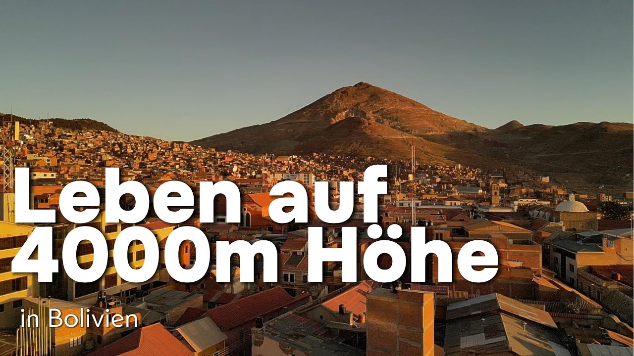 Lamas, Anden & eine Silbermine tief unter Potosí