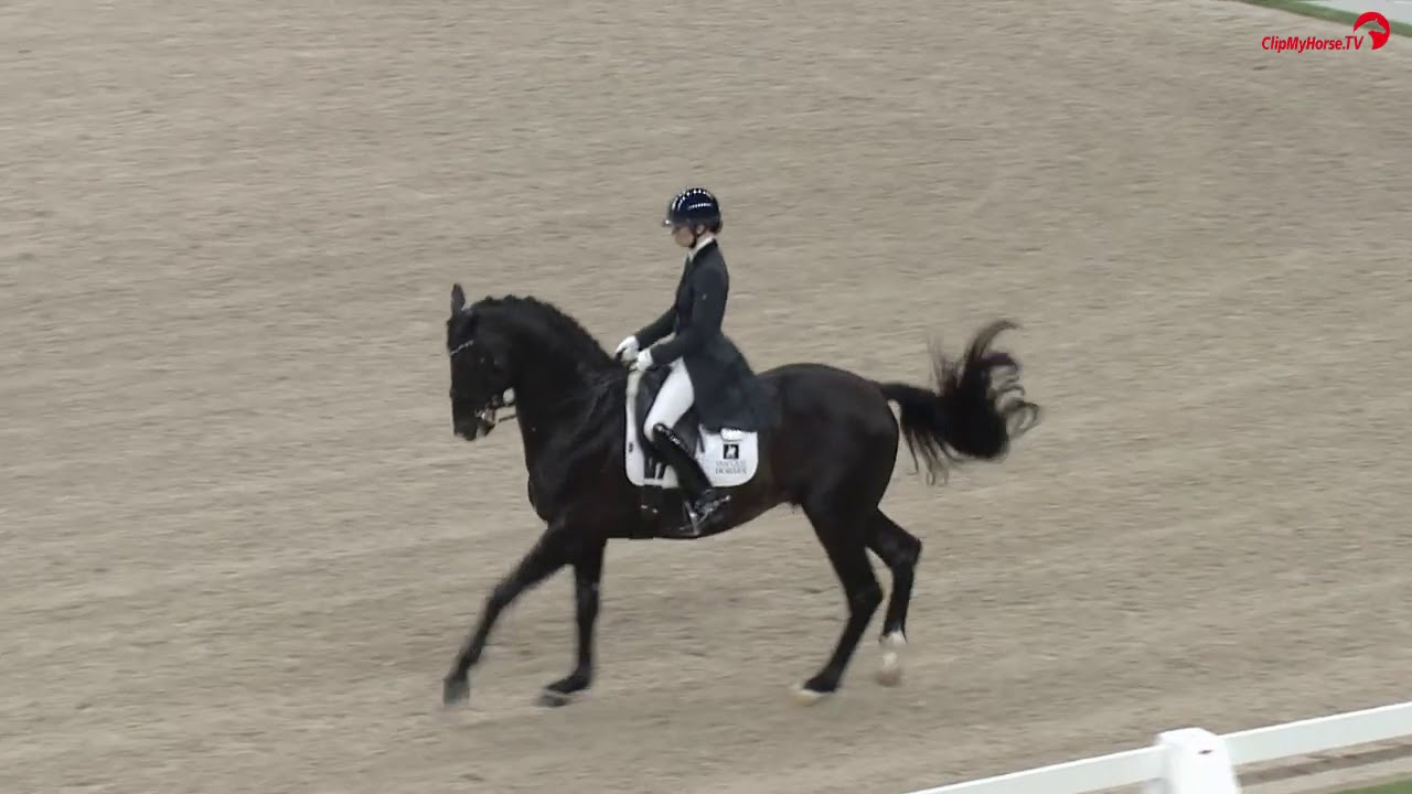 The Dutch Masters 2019  Everdale ( v. Lord Leatherdale x Negro)&  Charlotte Fry U25 Freestyle