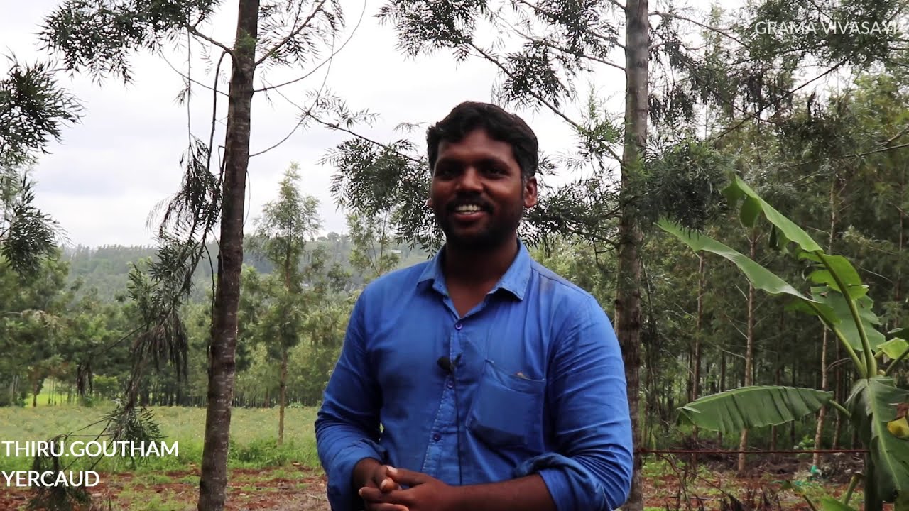 Agriculture Organic Vegetable Farming in Tamilnadu - Carrot Beetroot Farm